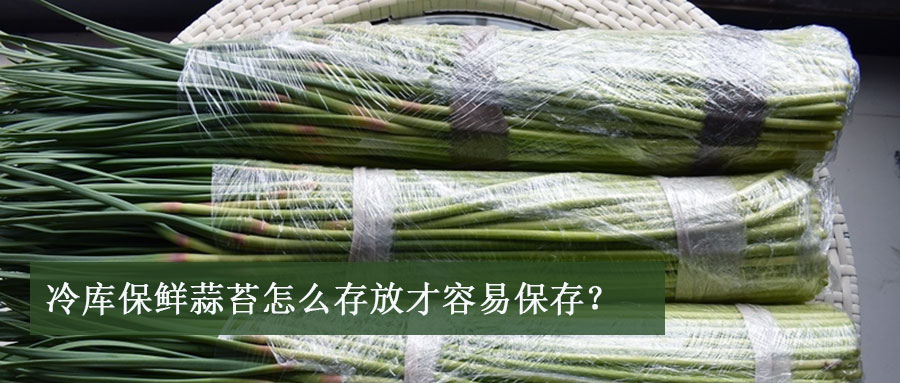 冷库保鲜蒜苔怎么存放才容易保存？