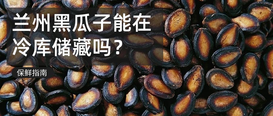 兰州黑瓜冷库储藏