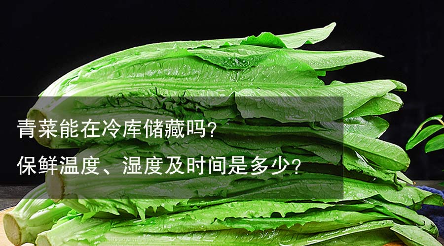 青菜（小白菜）能放冷库储藏吗？保鲜温度、湿度及时间是多少？