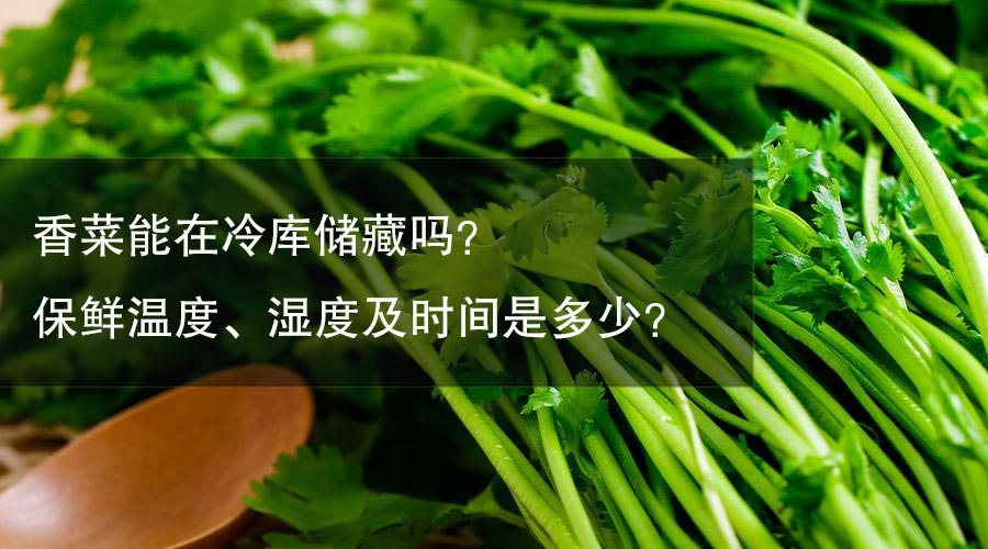 香菜能在冷库储藏吗？保鲜温度、湿度及时间是多少？