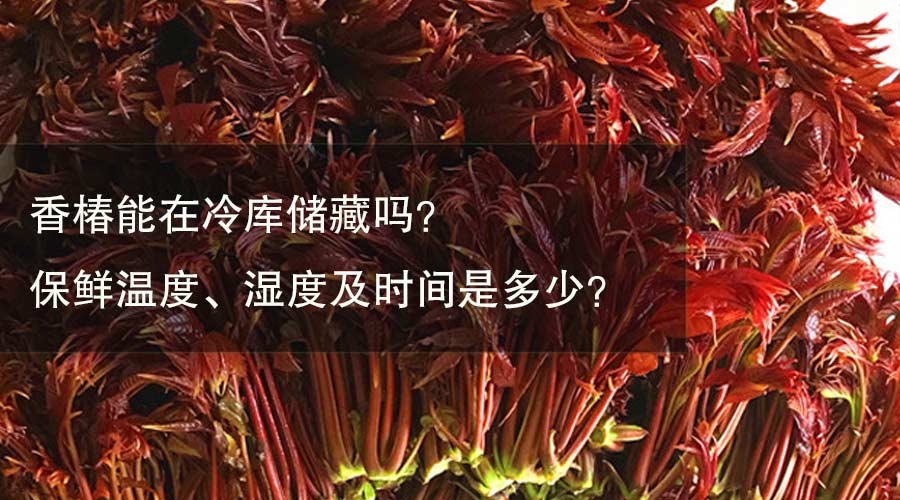 香椿能在冷库储藏吗？ 保鲜温度、湿度及时间是多少？