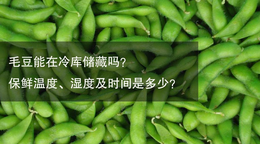 毛豆能在冷库储藏吗？ 保鲜温度、湿度及时间是多少？