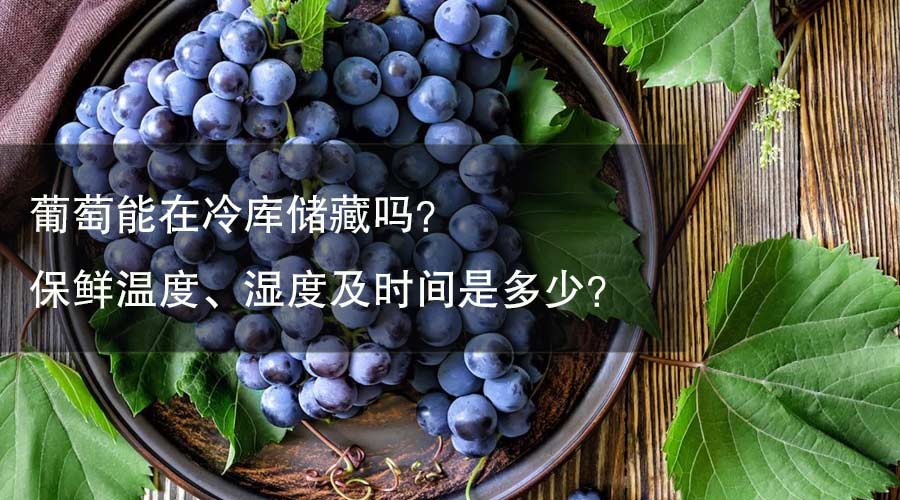 葡萄能在冷库储藏吗？ 保鲜温度、湿度及时间是多少？