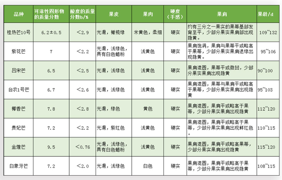 采收不同品种芒果标准判断