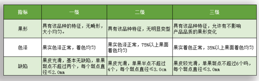 芒果放冷库前采收等级标准