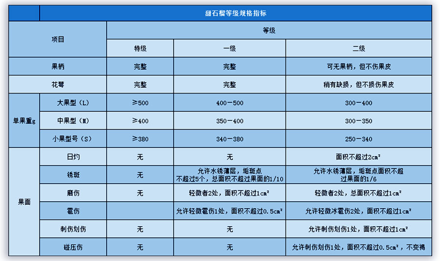 石榴入冷库库前的分级工作