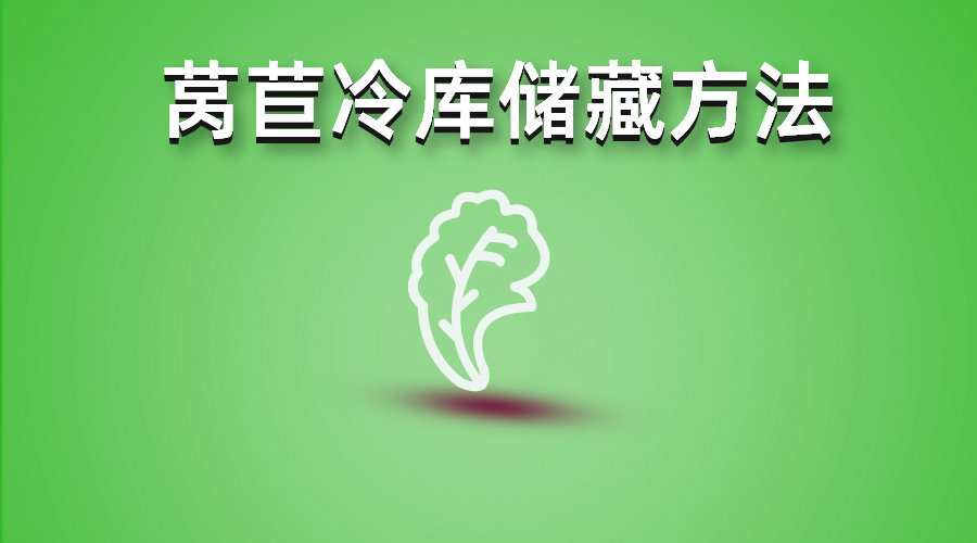 莴苣冷库储藏方法介绍