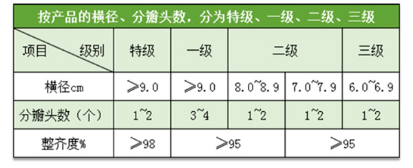 兰州百合入冷库前分级质量标准参考