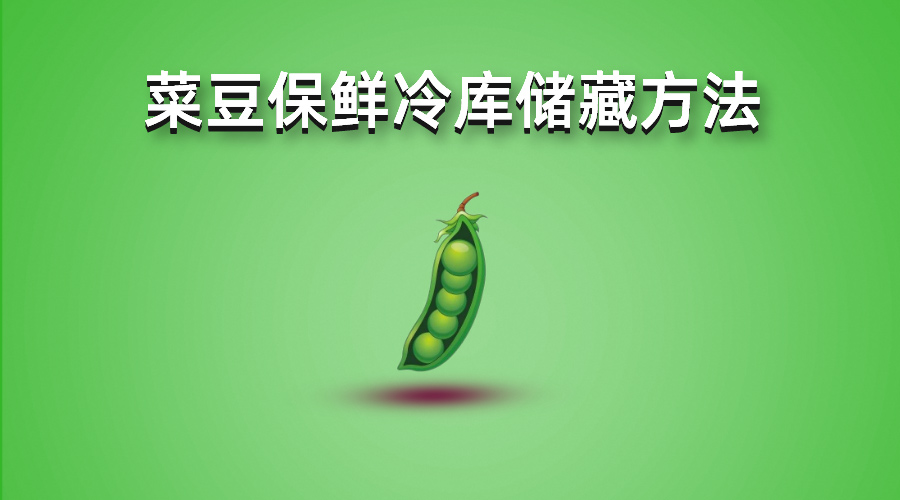 四季豆（菜豆）保鲜（气调）冷库储藏方法详解