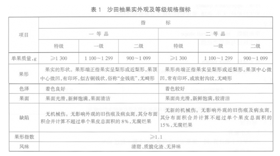 沙田柚放冷库前分级标准