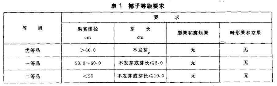 椰子等级划分标准