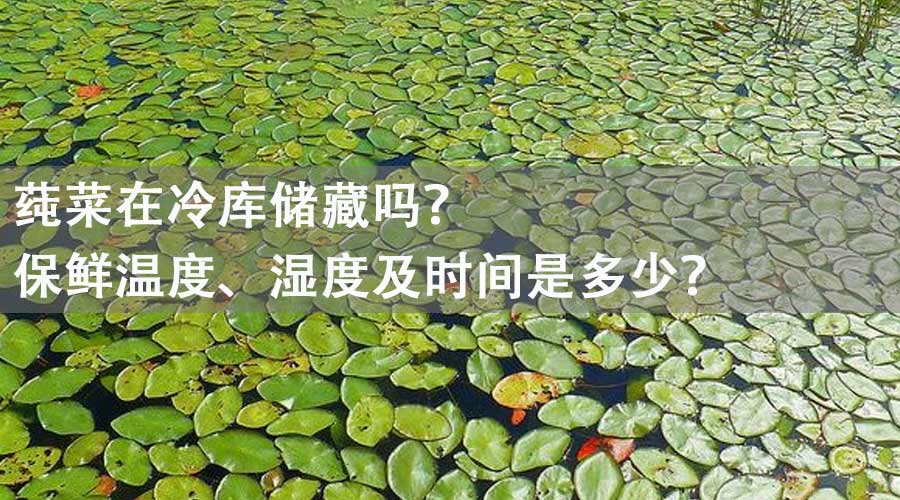 莼菜能在冷库储藏吗？保鲜温度、湿度及时间是多少？