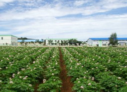 甘肃定西200平米土豆保鲜冷库安装工程